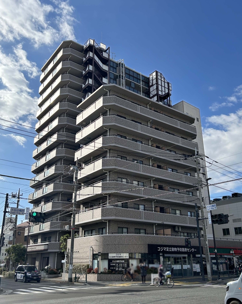 ライオンズマンション綾瀬・谷中公園