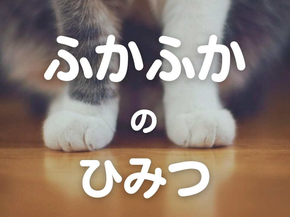 「フローリングがふかふか」ってどういうこと??