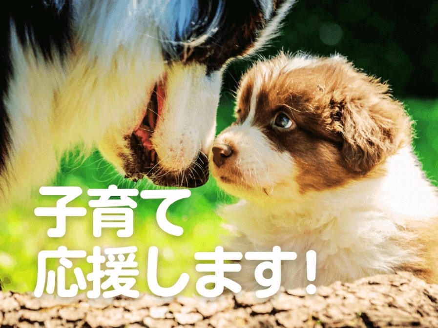 【子育て世帯編】住みやすい間取りってどんなの?